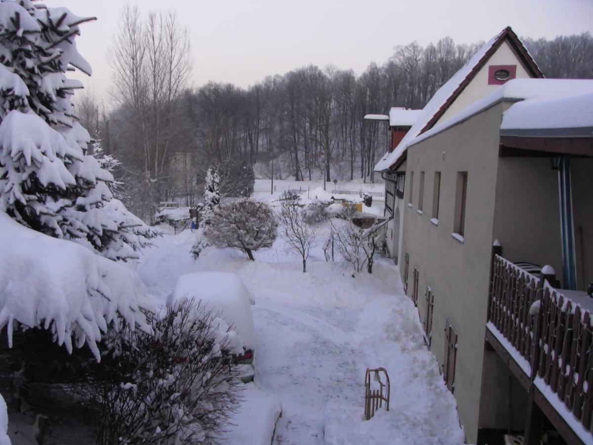Restaurant & Pension "Bauernhof Zum Silberbergwerk" Limabach - Oberfrohna Exteriör bild